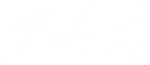 Benchmark Media Systems